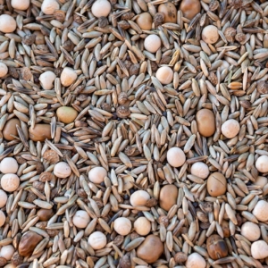 Komplex Kánaán – Haladó