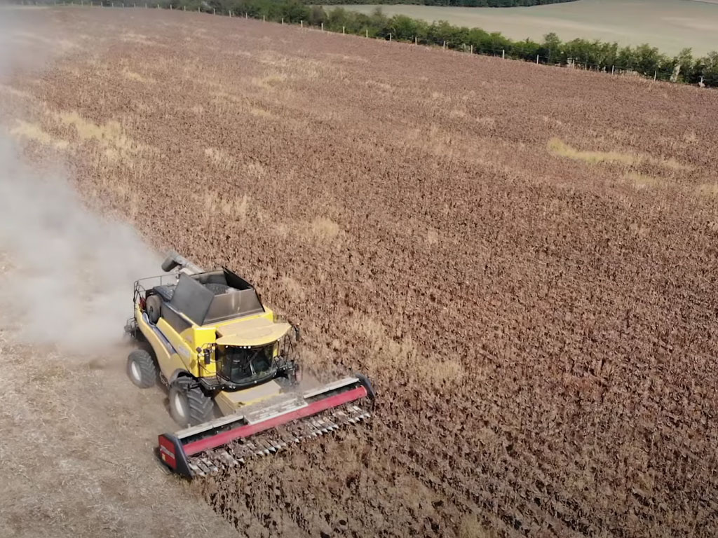 sunflower-harvest-drone-1024x768