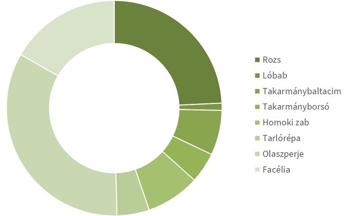 Komplex Kánaán Haladó