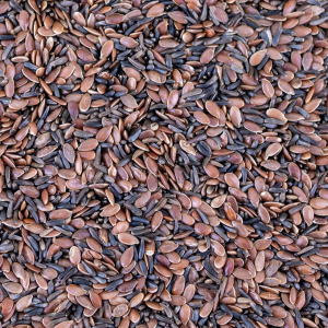 AKG Nyári Lendület